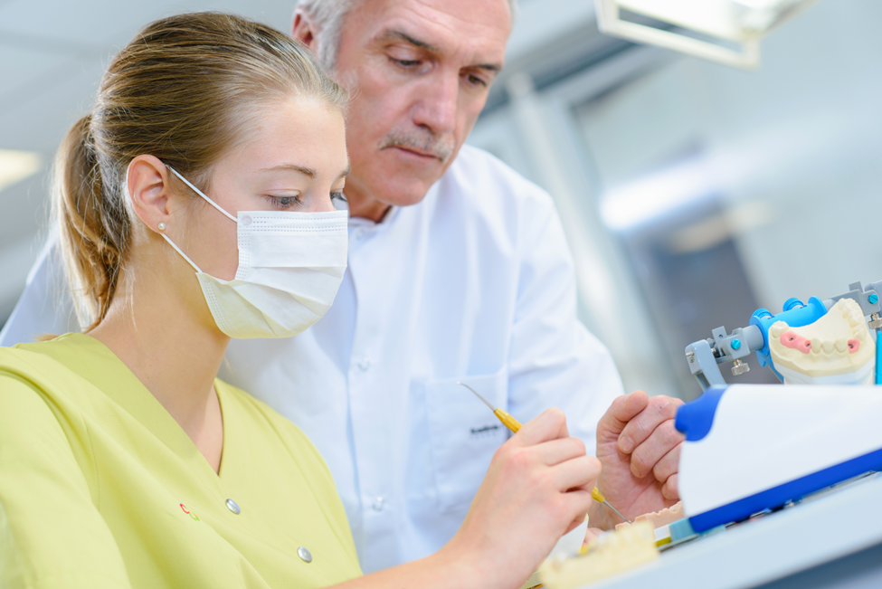 Things You'll Learn During Your Externship NE Dental Academy